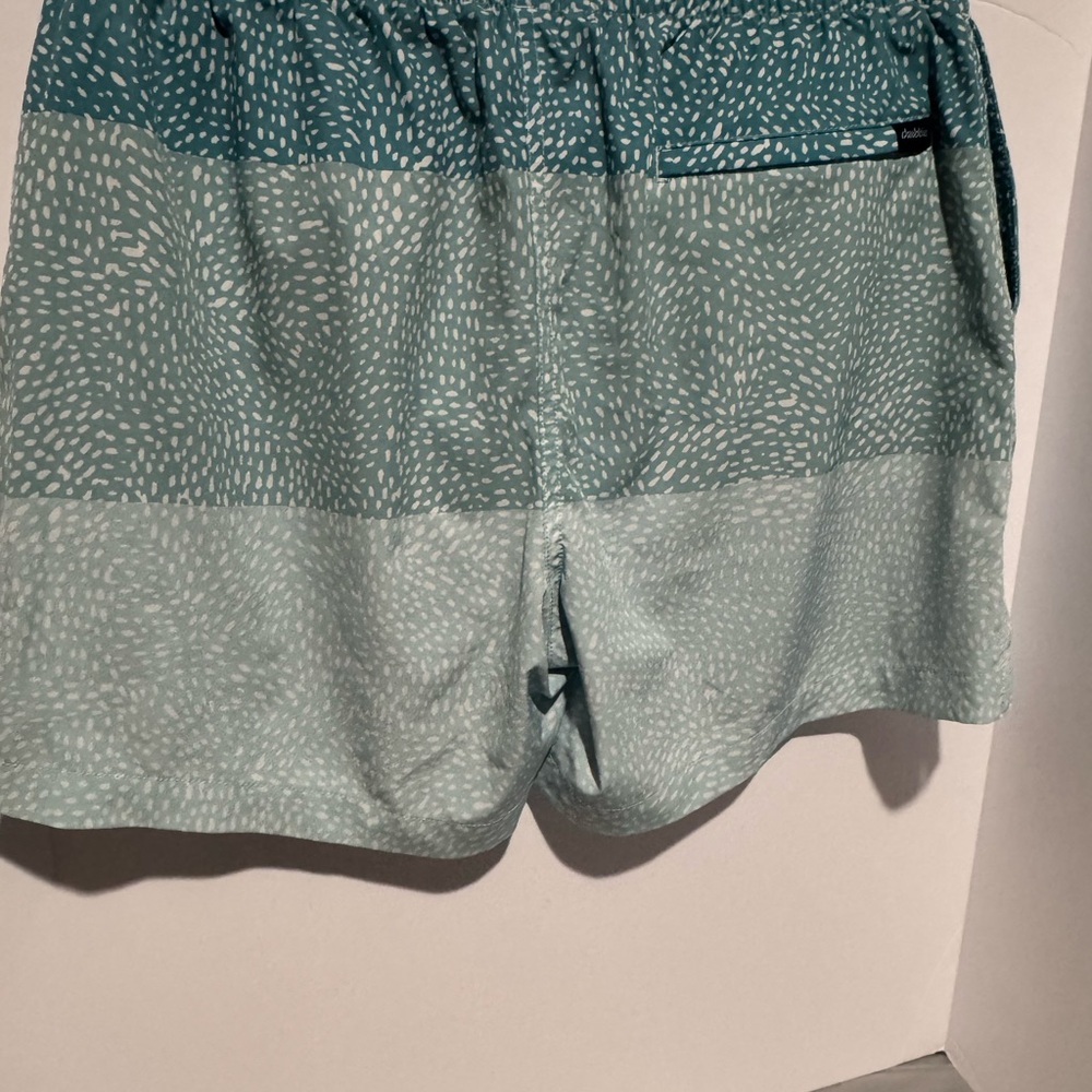 chubbies Green Gradient Patterned Swim Trunks - Picture 11 of 15